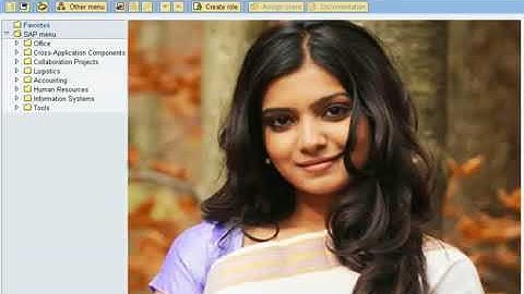 SAP BASIS system  Maintainance Tcodes- techyskills, techy skills