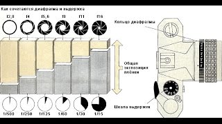 Как сделать хорошую фотографию. Секрет успешной фотографии. Выдержка и диафрагма. Урок фотографии