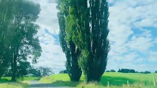 Travel Across New Zealand 6 by Eustress New Zealand 8 views 3 months ago 10 minutes, 36 seconds