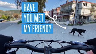 Dogs Attack Bicycles? This Stray Dog Is My Friend Actually