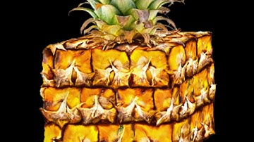 1 Bit 2 Bit 4 Bit 8 Bit 16 BIT 32 Bit 128 Bit 256 Bit 512 Bit 1024 Bit 2048 Bit 4096 Bit 8192 Bit