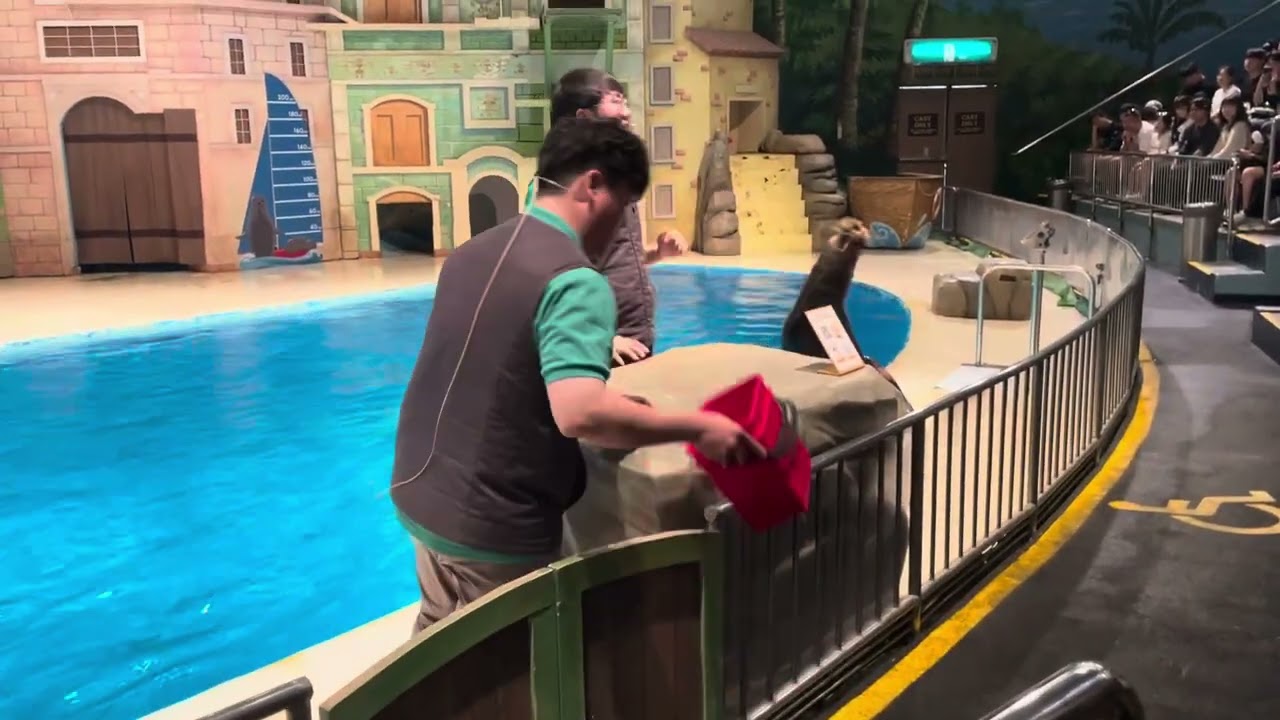 에버랜드 씨라이언빌리지 ❤️