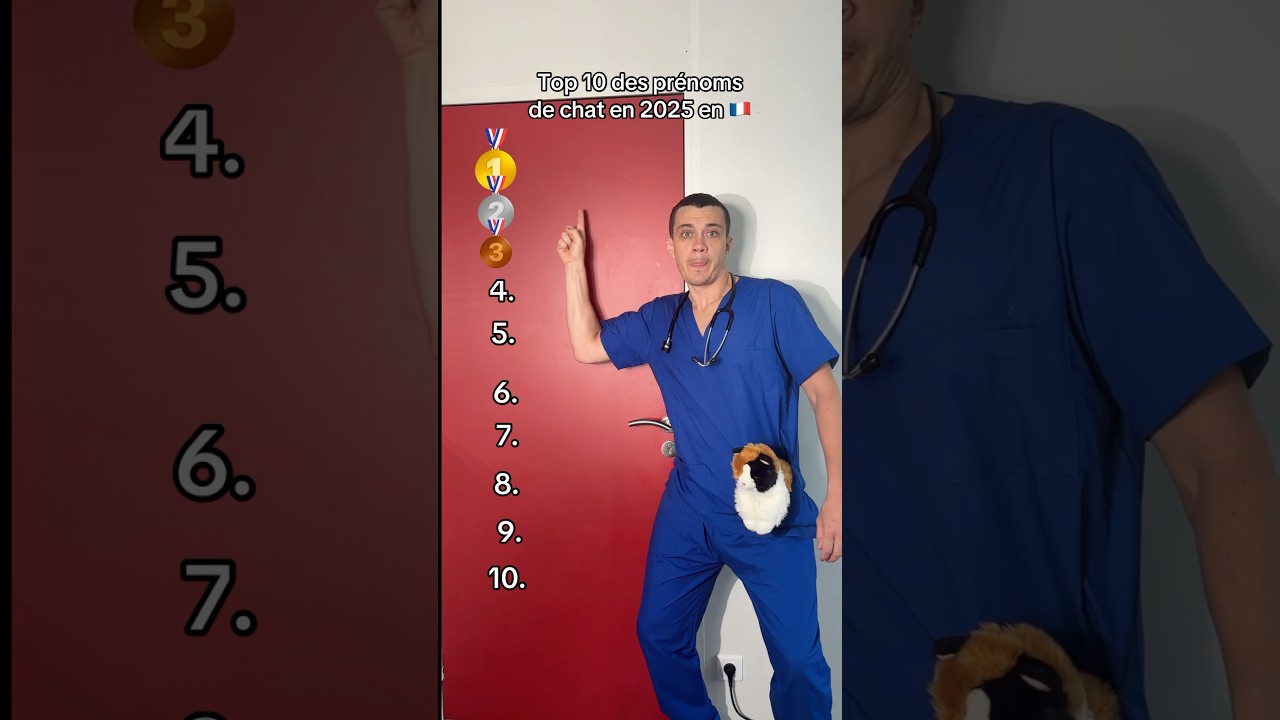 Top 10 prénoms des chats en France en 2025 #top #cat #chat