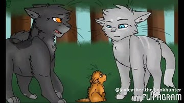 Warriors Graywing and Clear Sky- Always gold