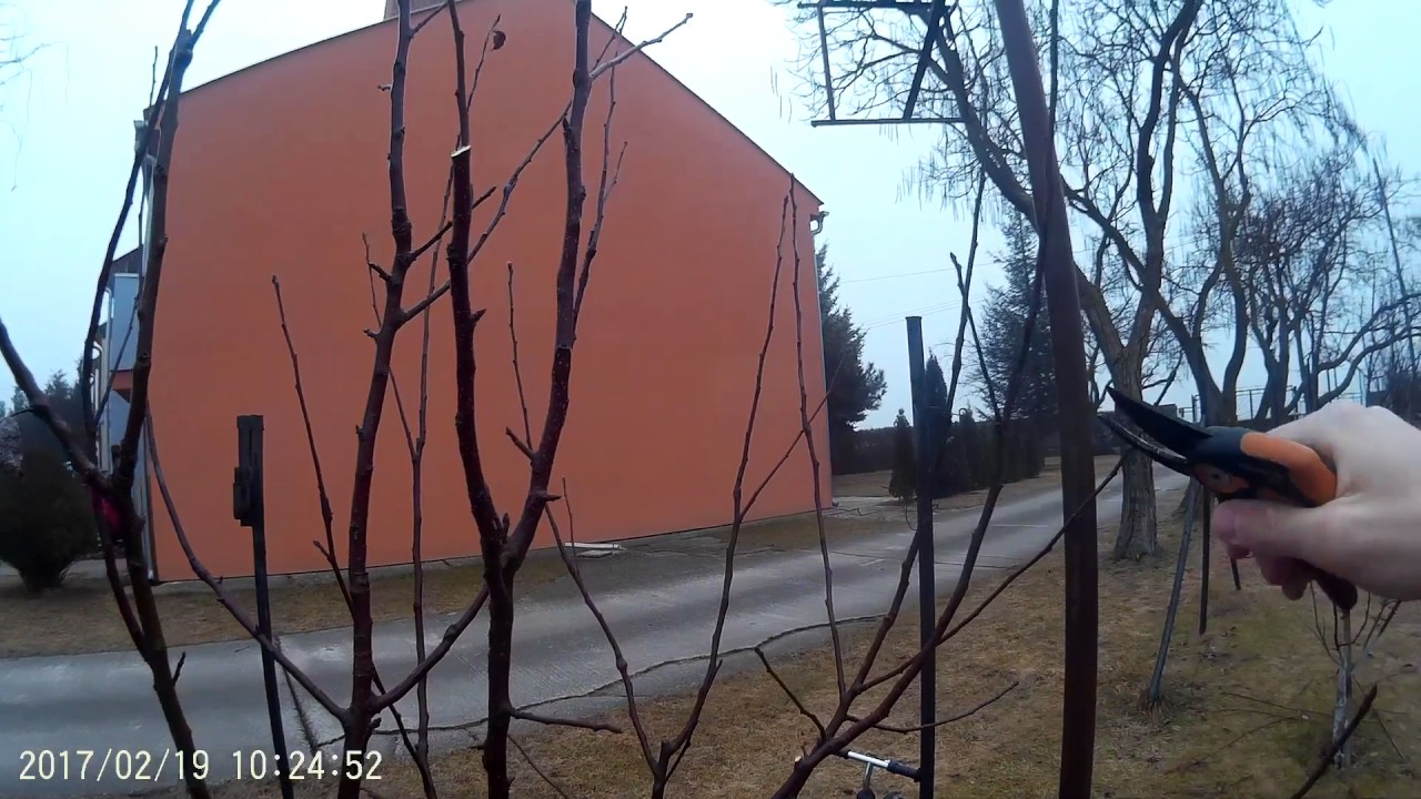 Rez YouTube