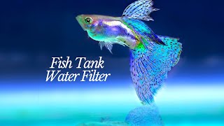 ASMR | 1 HOUR of Soothing Aquarium Fish Tank Sounds : Relaxing, Studying, Meditating, Sleep Aid