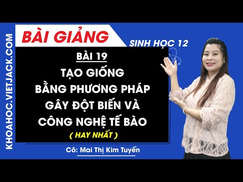 Video: Làm thế nào để các tế bào kết hợp với nhau để tạo thành mô?