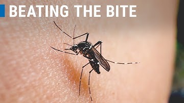 The Nuclear Fix for Mosquitoes