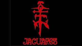 Video thumbnail of "Jaguares - Fin (Karaoke)"
