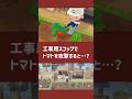 【あつ森】工事用スコップでトマトを攻撃すると…？【小ネタ】