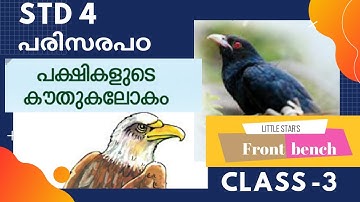 STD 4 PARISARAPADANAM EVS UNIT 4 WONDER WORLD OF BIRDS  പക്ഷികളുടെ കൗതുക ലോകം azi frontbench CLASS 3