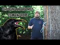 Picking an Arborist Climbing Line