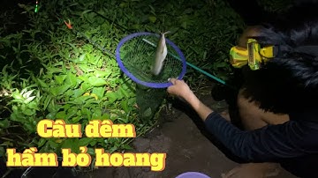 Trãi nghiệm câu đêm ở hầm bỏ hoang, điểm câu lý tưởng ở cần thơ