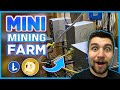 Expanding my Dogecoin Mining Farm! DOGE Miner Profits Review