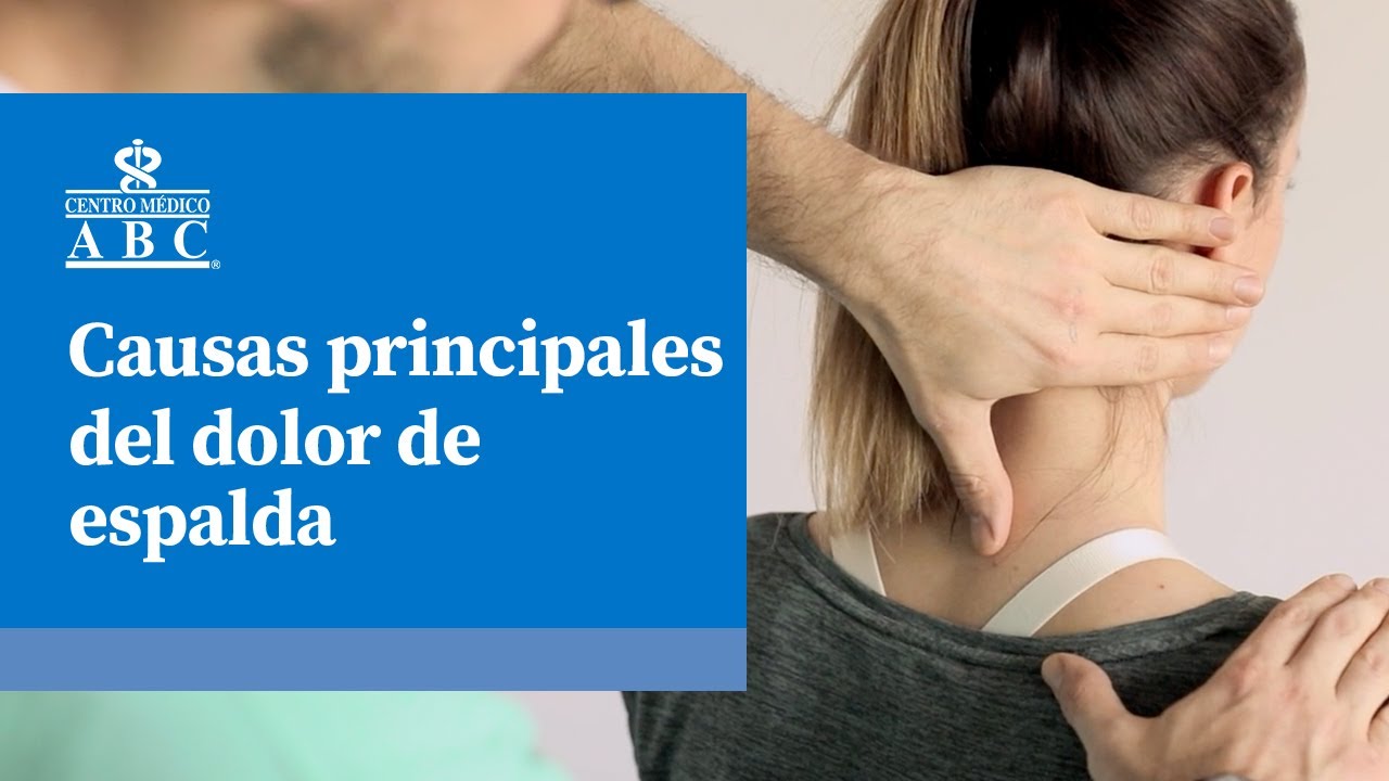 taza Berenjena Fiordo Principales causas del dolor de espalda | Centro Médico ABC