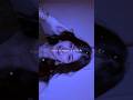 AAKH SI NASILI USKI SONG STATUS || SLOWED REVERB WHATSAPP STATUS #SHORTS