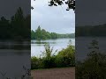 Rainy day and seagulls. #nature #autumn #lake #mindfulness #mindfulmoments #mindfulpresence