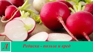 видео Репчатый лук: польза и вред, калорийность, полезные и лечебные свойства, противопоказания для мужчин и женщин