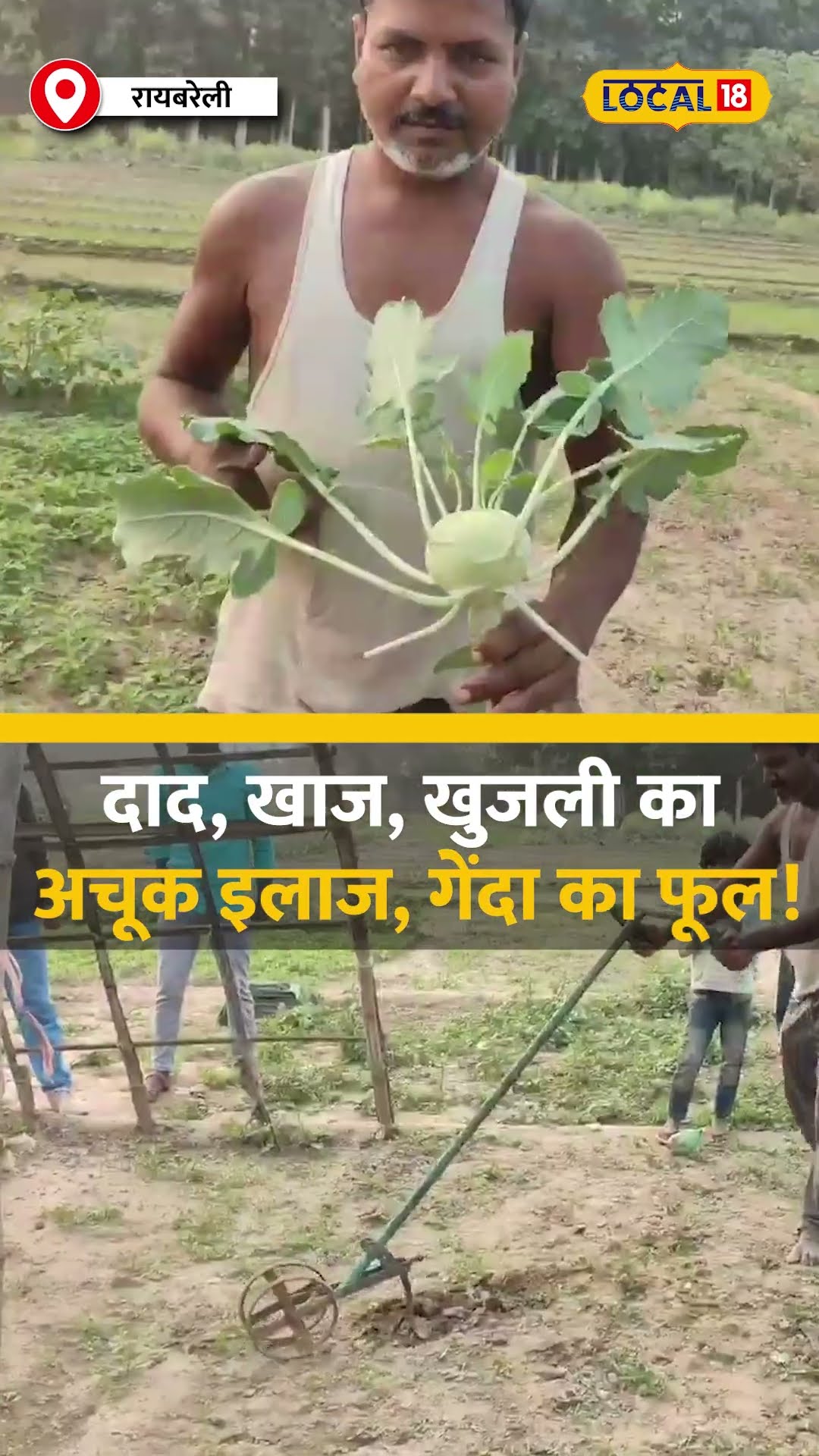 स्वाद और सेहत का खजाना है ऋषिकेश में मिलने वाला ये फल | #local18shorts