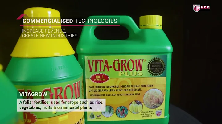 VIDEO KORPORAT UPM 2022