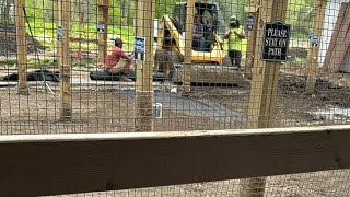 Cats are interested in the progress of the playground