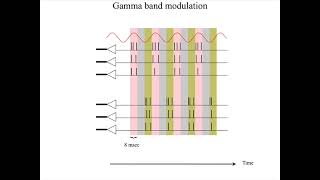 L21 2 WorkingMemoryNeuronAndSynapticMechanisms