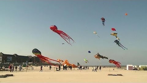Kite festival in northern France fills skies with colour