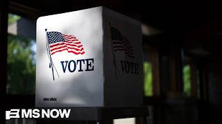 ‘RESIST’: Fmr. DOJ official urges election workers to oppose poll monitors sent to ‘cause mischief’
