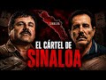 CARTEL DE SINALOA: El Origen del Imperio que Devoró México