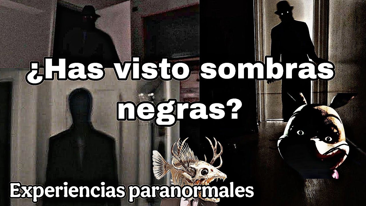 ¿Alguna vez viste una sombra negra?/Experiencias de suscriptores con sombras humanoides extrañas