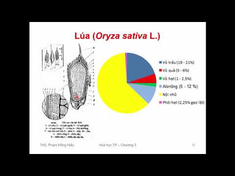 Video: Về Bạo Lực Thực Phẩm