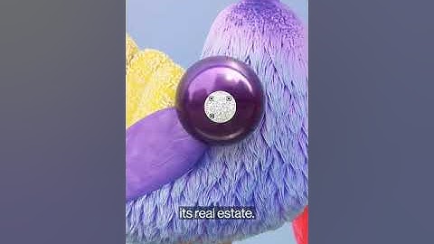 You can experience Web3 in real life in New York City