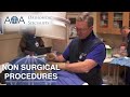 Aoa orthopedic specialists  dr joseph kay  non surgical procedures