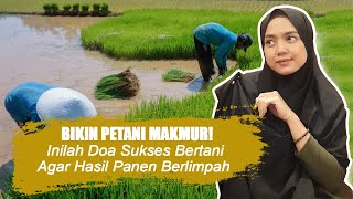 Petani Wajib Tahu! Inilah Doa Sukses Bertani Agar Hasil Panen Berlimpah Ruah