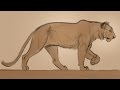 Animation  drawing animals with aaron blaise promo