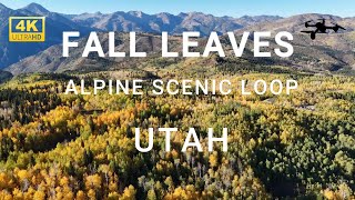 Stunning 4K Alpine Scenic Loop: Fall Foliage from Above!