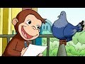 George O Curioso 🐵 Compilação De 1 Hora 🐵 Episódio Completo 🐵 Desenhos Animados