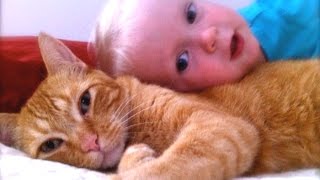 Cats, Dogs And Adorable Babies Compilation [New]
