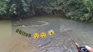 lagi asik mancing tiba2 ketemu ular phiton besar ,ular pithon raksasa 😯😲😱😱