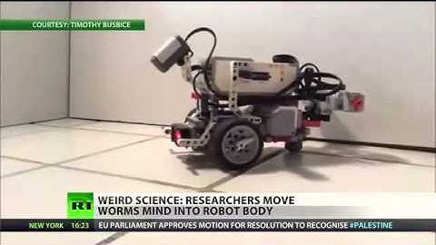 Scientists Transplant Worm’s Mind Into Robot
