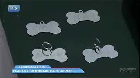 O que colocar na coleira do cachorro?