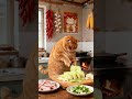 🐾 Ek Nanhe Chef ki Badi Kahani: Zimmedari ka Bojh ya Pyar ka Ehsaas? ❤️ #GyanFactonix