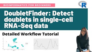 DoubletFinder: Detect doublets in single-cell RNA-Seq data in R | Detailed workflow tutorial