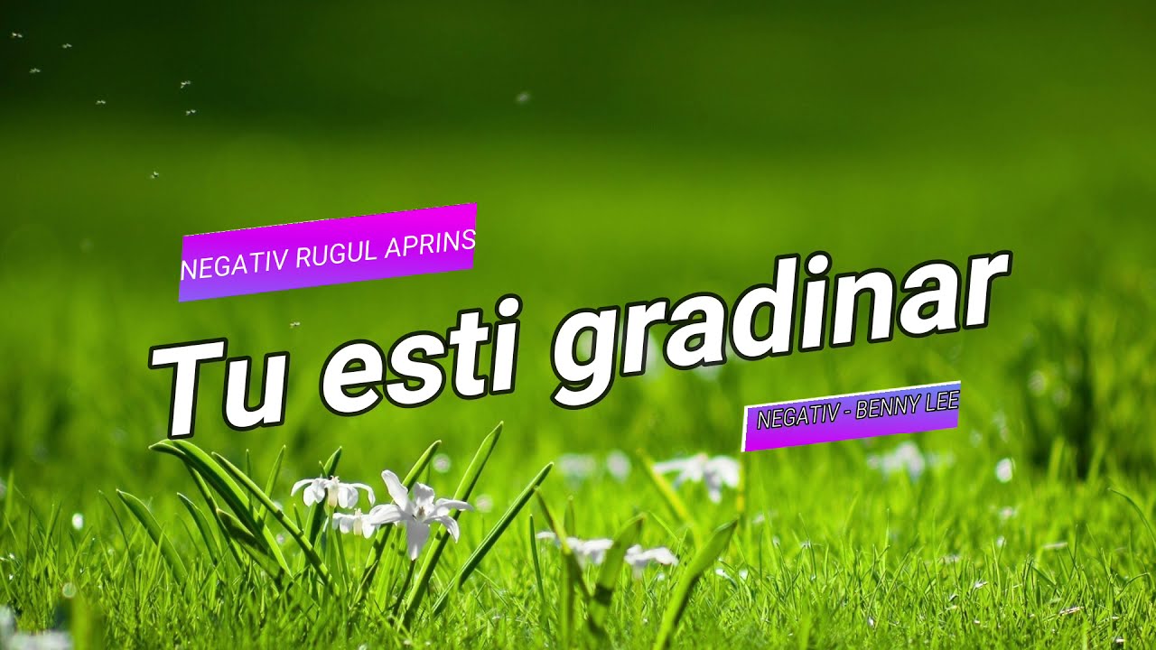 TU ESTI GRADINAR - NEGATIV RUGUL APRINS 2021