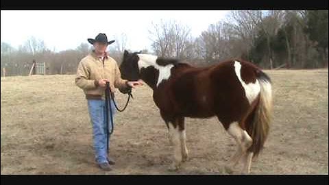 Lee Howell Horsemanship--Moving the Hindquarters