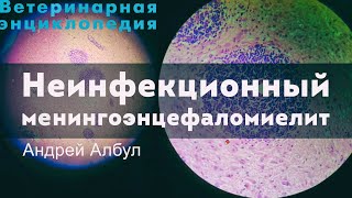 Неинфекционный менингоэнцефаломиелит у крупных пород собак