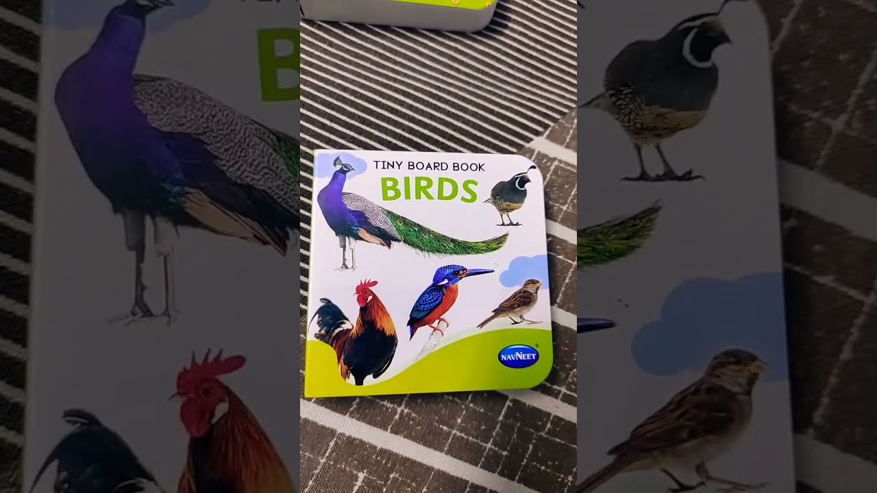 Navneet Tiny Board Books 