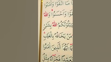 سورة المائدة الأية 93 إلى 94 القارئ سعد الغامدي