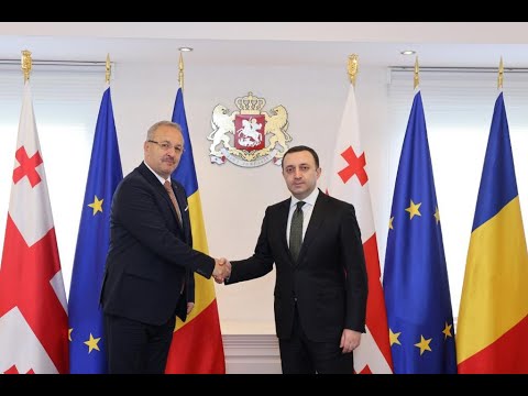 შეხვედრა  რუმინეთის ეროვნული თავდაცვის მინისტრთან