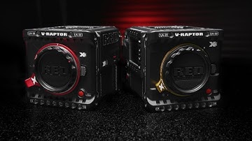 V-RAPTOR XE | Official Introduction | #ShotonRED